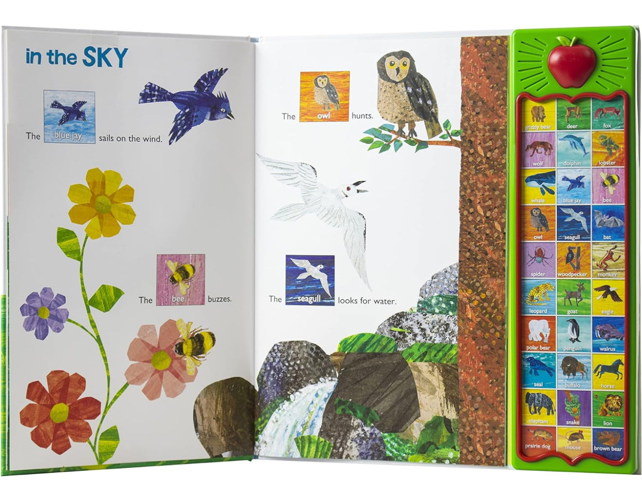 World of Eric Carle: Hear Bear Roar Sound Book