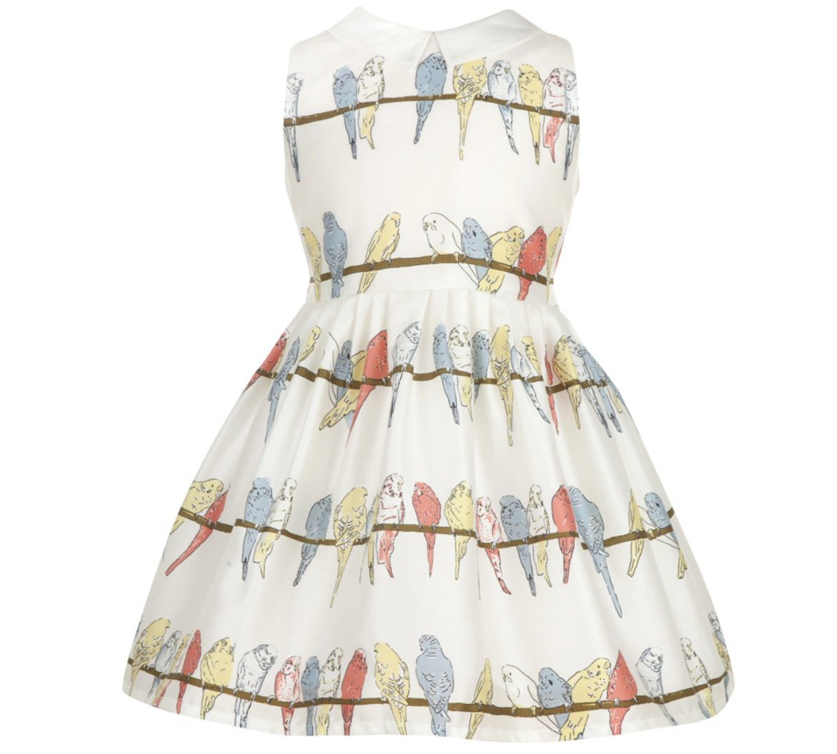 Bryony - Girls Budgies White Dress With Collar