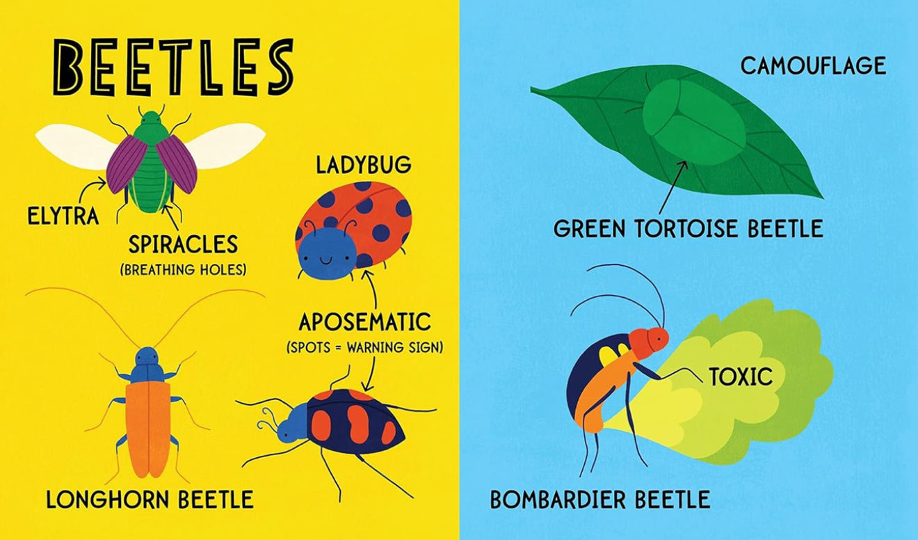 My First 100 Words - Bugs
