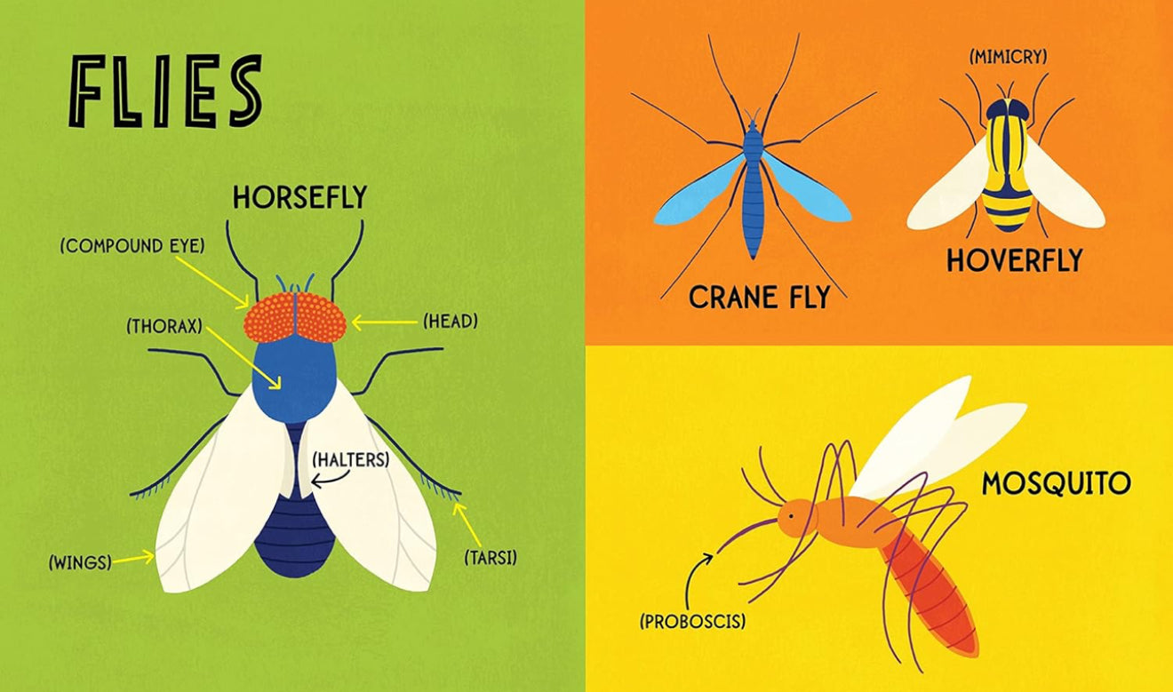 My First 100 Words - Bugs