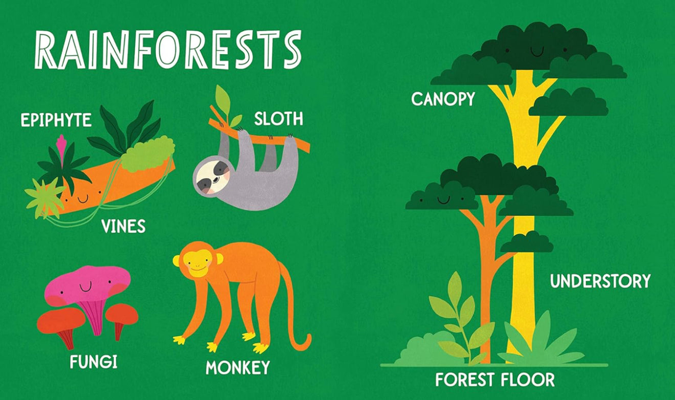 My First 100 Words - Nature
