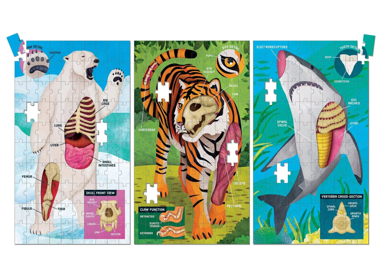 Animal Anatomy Science - 3 Puzzle Sets