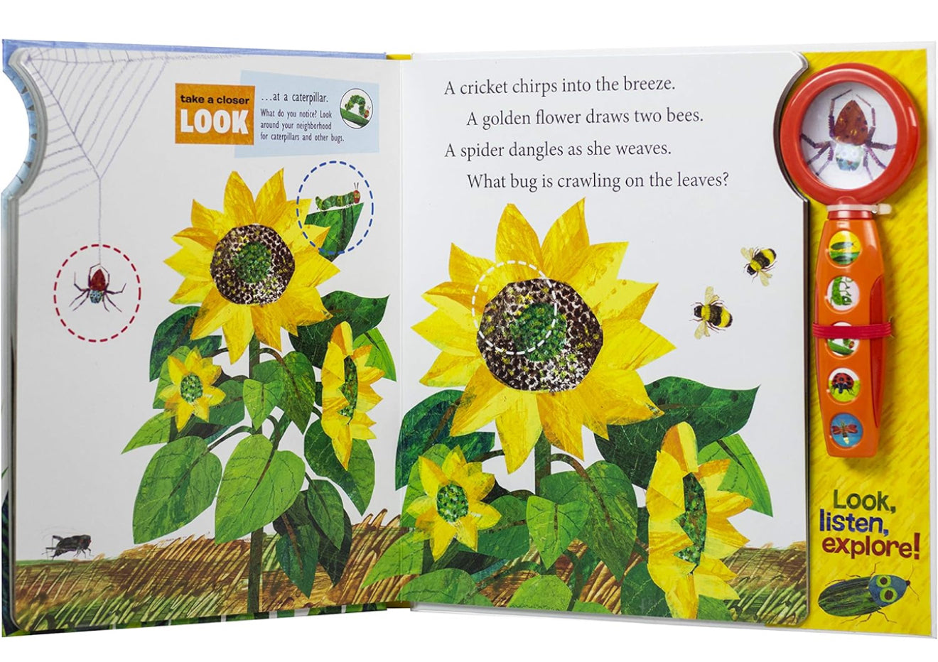World of Eric Carle: What Do You See? a Magnifying Glass and Sound Book